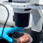 Life and growth of microbes & bacterial organisms.