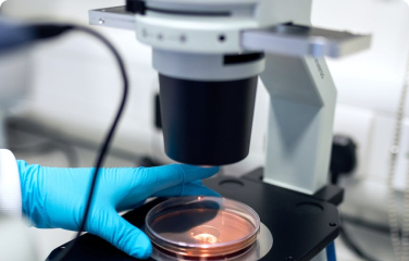 Life and growth of microbes & bacterial organisms.